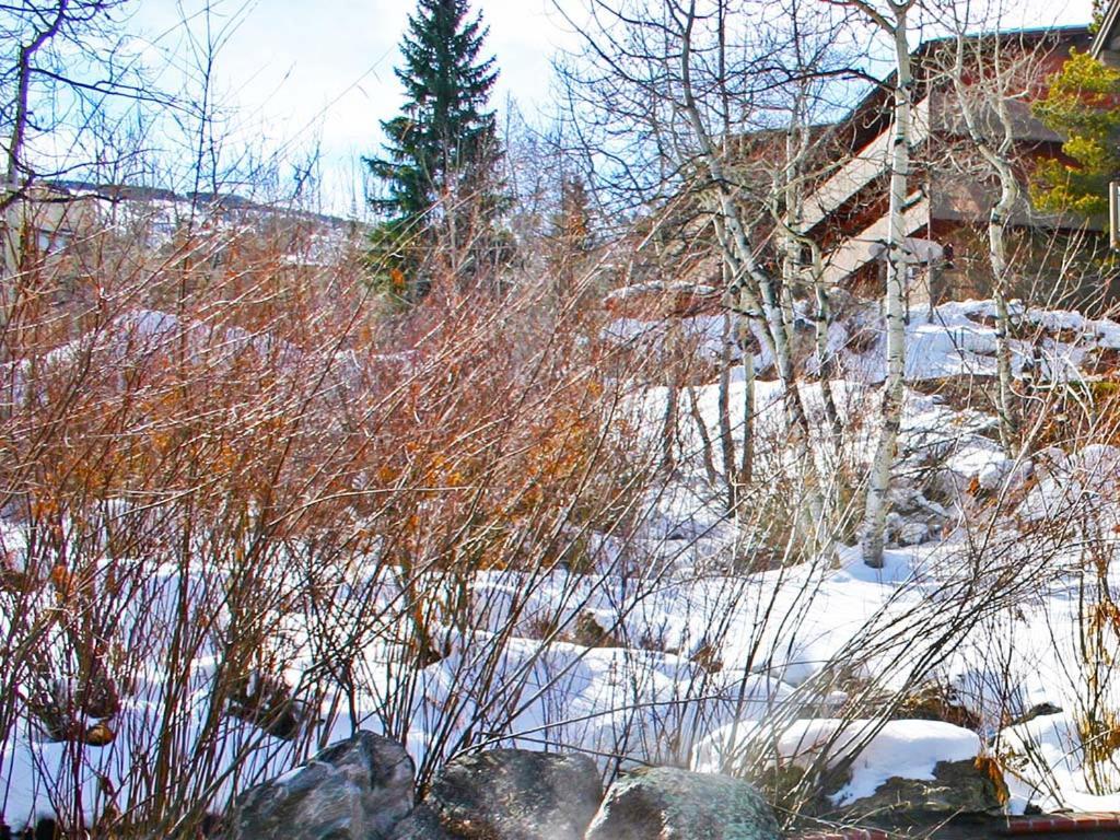 شقة Terracehouse By Snowmass Vacations قرية سنوماس المظهر الخارجي الصورة